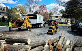 Reliable Cocoa West, FL Tree Services Solutions